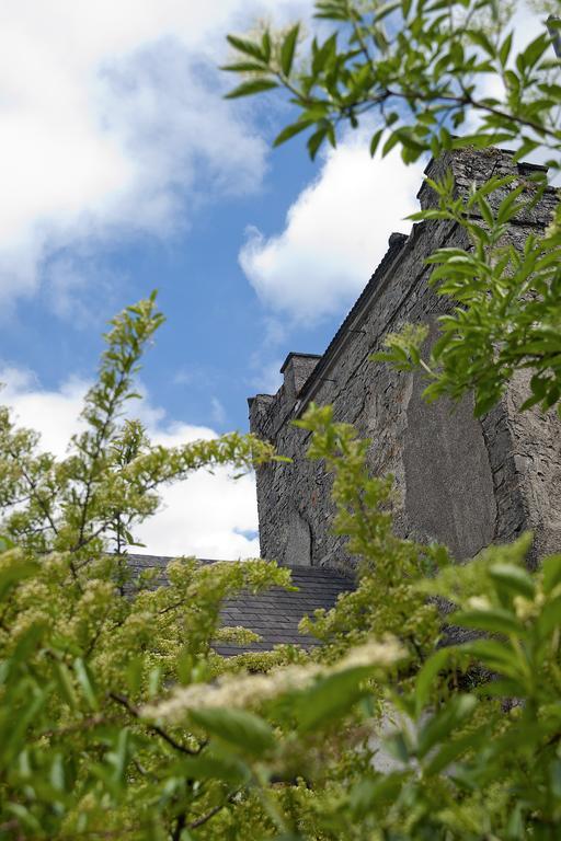 Finnstown Castle Hotel Lucan Eksteriør bilde